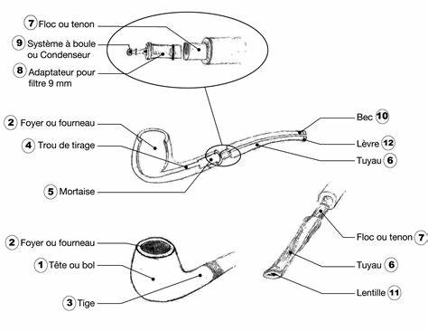 Anatomie de la pipe