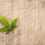 Légalisation du Cannabis, le point en France en 2018 ?